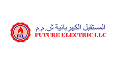 Future Electric LLC